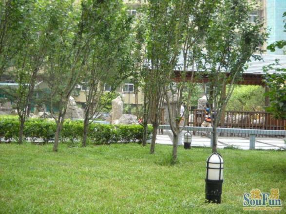 嘉和丽园实景图