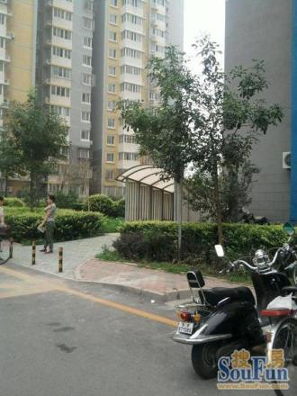 乐城实景图