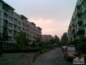 龙锦苑东三区3室1厅南北