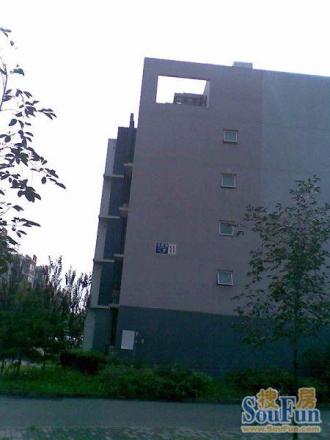 龙博苑二区实景图