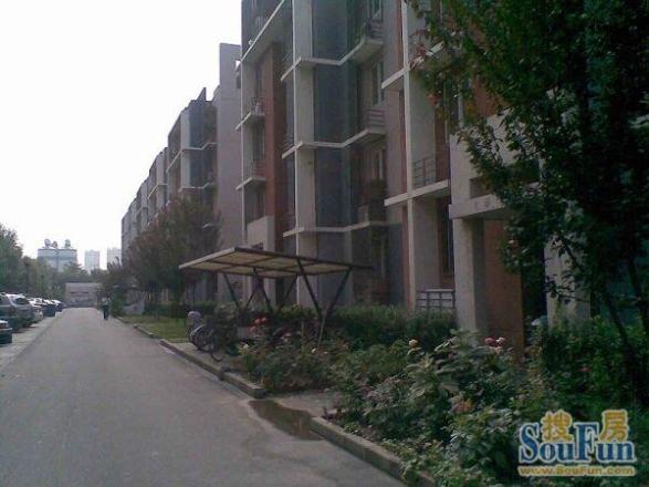 龙博苑二区实景图