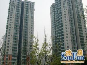 领地OFFICE四面落地窗采光佳