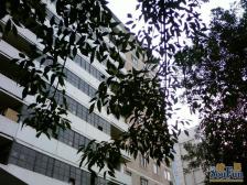 三元桥国展静安里中间层精装修两居室满五唯一