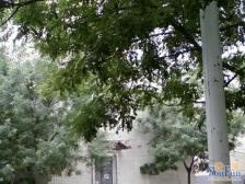金融街西单华远北街朝南一居带电梯01年商品房随时签约