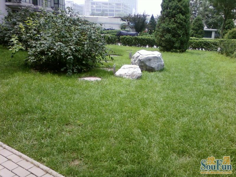 小区相关图
