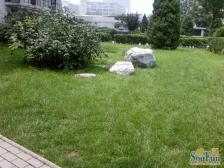 国展新座1室1厅西