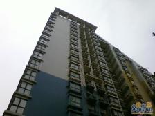 国展新座东向一居室满五年仅契税