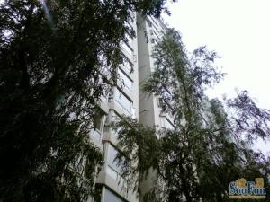 南北通透双卫两居室板楼2梯4户安静前后不临街
