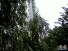 和泰园满五唯一精装修全南向双卫两居室