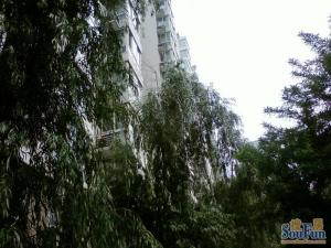 和泰园满五唯一精装修全南向双卫两居室