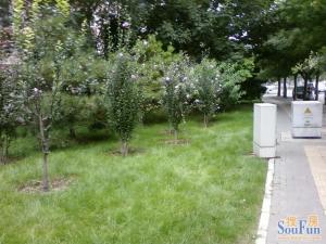 木樨地1室1厅南