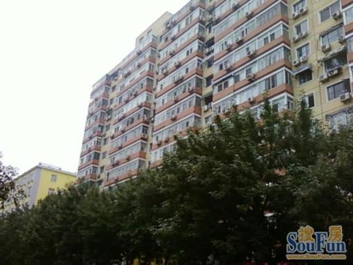  ���⡤ľ�صء����������3�� 