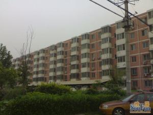 海子角西里2室1厅南