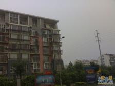 丽园B区 4室2厅 南 北