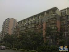 丽园B区 2室1厅 南 北