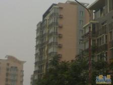 丽园B区 1室1厅 南 北