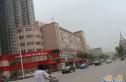 鼎嘉府邸实景图