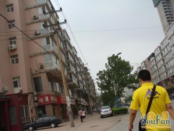 鼎嘉府邸实景图