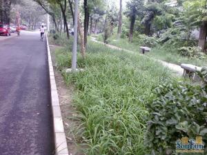 幸福北里2室1厅南北