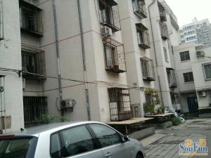 长椿街槐柏树后街1999年精装修5层公园旁