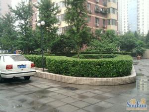 西城区广安门外莲花池小马厂东里精装电梯朝南一居