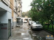 天宁寺前街南里 3室1厅 南 北