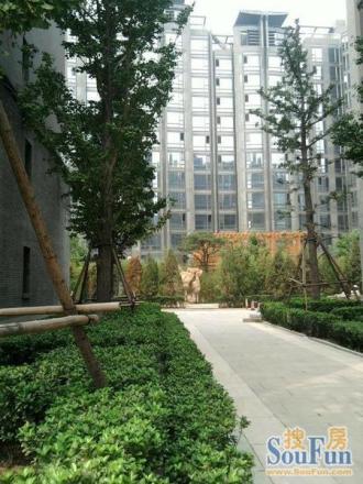 陶然亭小区实景图