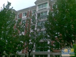 菊源里满五年南北电梯两居带地下室业主诚售