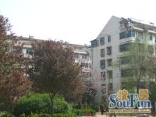 二环内!64平!精装!精装!精装!