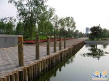 金水路英协路 新鑫花园 精装修大四房