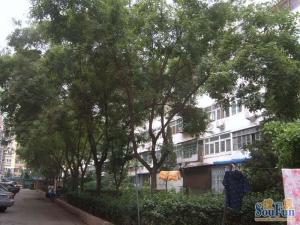 后白堆子2室1厅南北