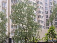甘家口·逸升轩·4室·1厅