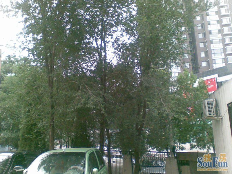 小区相关图