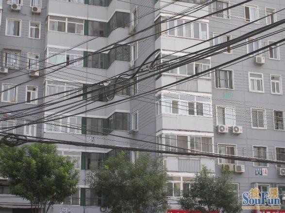 白纸坊东里实景图