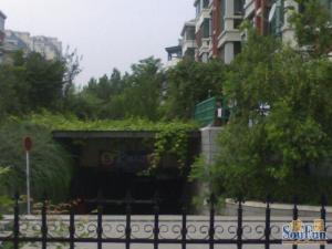 莱茵河畔2室2厅南北