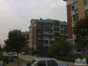 莱茵河畔电梯三居边户全明