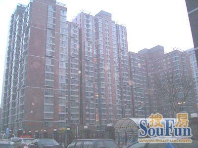 洛克时代中心商住楼实景图