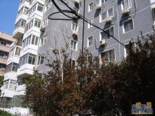 扣钟北里东区 1室1厅 南