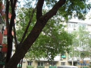 景王坟2室1厅西