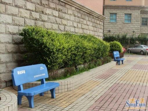  ����С��������,ʵ�ؿ�������,�Է��ӱȽ��˽�!��������ɯ��Ȧ 