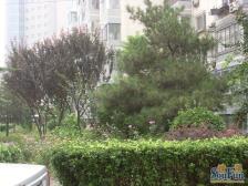 潘家园·潘家园南里·1室·1厅