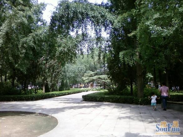 朝阳庵小区实景图