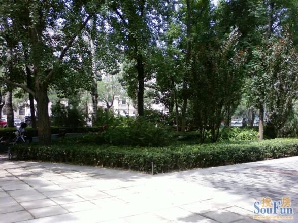 朝阳庵小区实景图