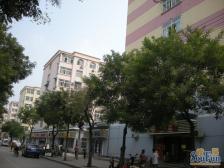 洪楼西路16-3号院 2室1厅 东 西