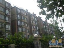 南北通透 采光好 使用面积大电梯房 带阁楼带露台