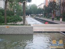 鑫苑中央花园东区 1室1厅 西