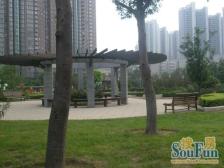 银基王朝四房,精装修,楼层可以,保养得好,诚出售