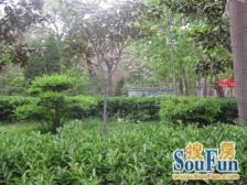 房子南北通透,采光充足,户型方正,得房率高