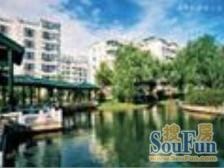 鑫源花园步梯三楼,三室两厅两卫毛坯房出售