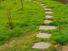 三环内,公园旁 三层采光好精装修 满五年 急卖